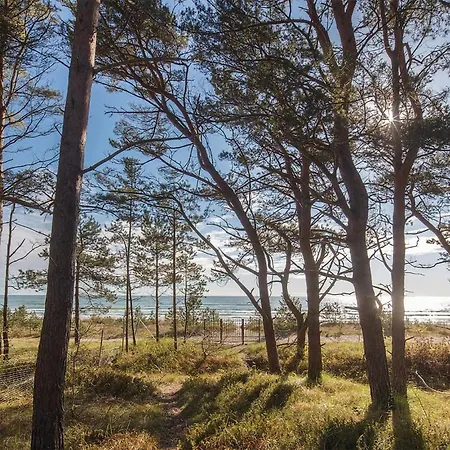 Prora Solitaire Avida Loft15 *